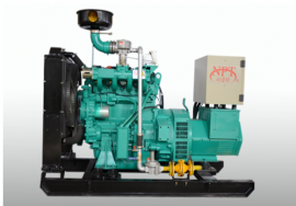 Генератор на газу NPT 40 GFT 40 кВт (50) (кВА) на паливі LPG / NG