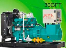 Газова електростанція NPT 30 GFT 30 кВт (37,5) (кВА) на паливі LPG / NG