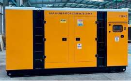 Газовый генератор 250 кВт (313 кВА) природный газ