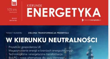БіоLPG в Польщі - нова альтернатива для природного газу